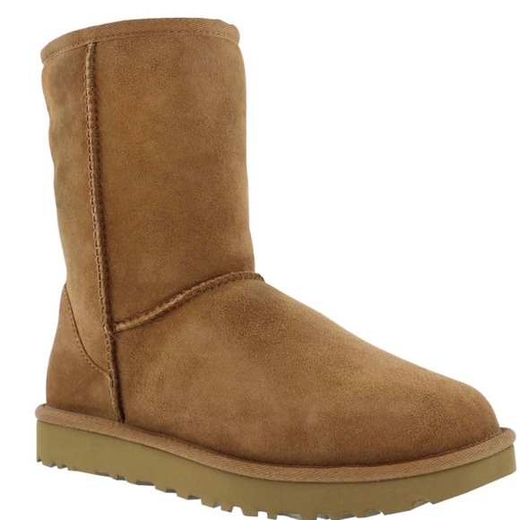 UGG Shoes - UGG Classic Short Chesnut Boot Sz 8